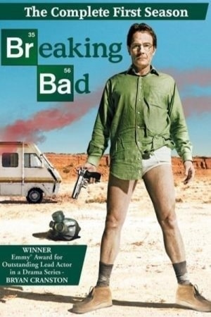 Download Breaking Bad Season 1 (2008) {Hindi + English} Dual Audio Complete BluRay HD Web Series 480p, 720p, 1080p