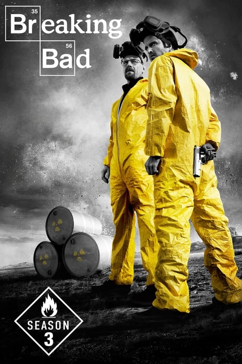 Download Breaking Bad Season 3 (2010) {Hindi + English} Dual Audio Complete BluRay HD Web Series 480p, 720p, 1080p