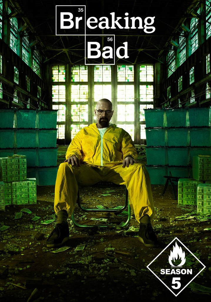 Download Breaking Bad Season 5 (2012) {Hindi + English} Dual Audio Complete BluRay HEVC ESub Web Series 480p, 720p, 1080p