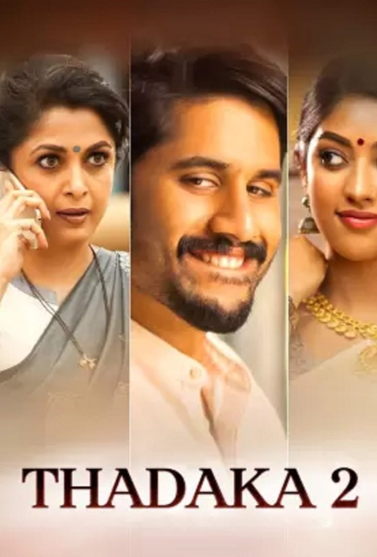 Download Thadaka 2 (Shailaja Reddy Alludu) (2018) South Hindi Dubbed Movie HD ESub 480p, 720p, 1080p