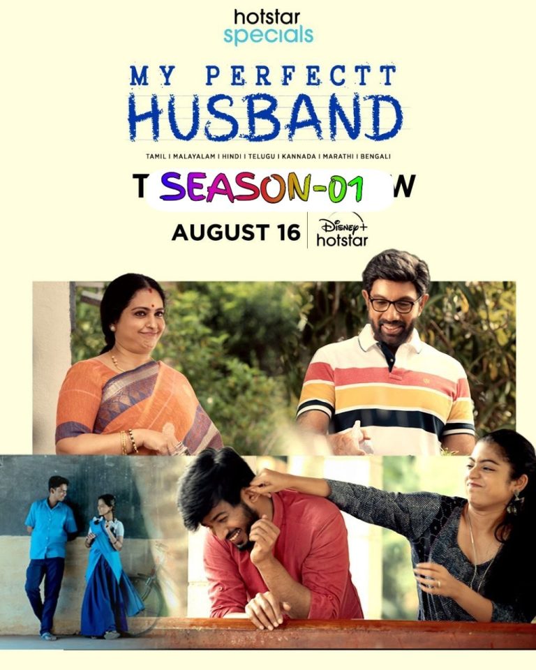 Download My Perfectt Husband Season 01 (2024) Hindi Completed Web Series HEVC ESub 480p, 720p, 1080p